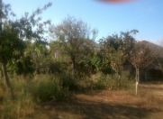 Satılır 5 sot torpaq Saray