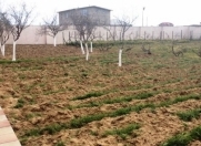 Satılır 10 sot torpaq Bilgəh