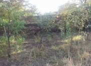 Satılır 2.5 sot torpaq Naxçıvan