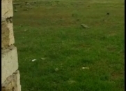 Satılır 6 sot torpaq Binəqədi