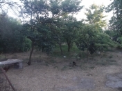 Satılır 8 sot torpaq Maştağa