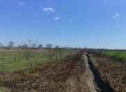 Satılır 265 sot torpaq Qusar