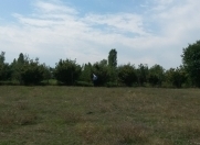 Satılır 6 sot torpaq Qusar