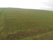 Satılır 8 sot torpaq Fatmayı