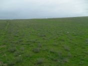 Satılır 150 sot torpaq Xızı