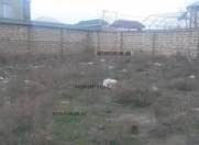 Satılır 12 sot torpaq Rəsulzadə