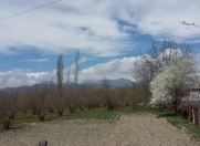 Satılır 18 sot torpaq İsmayıllı