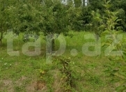 Satılır 1200 sot torpaq Qusar