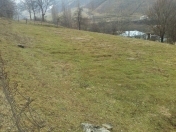 Satılır 15 sot torpaq Qusar