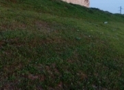 Satılır 8 sot torpaq Qobu