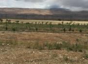 Satılır 16792 sot torpaq Siyəzən