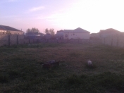 Satılır 8 sot torpaq Binə