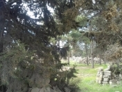 Satılır 24 sot torpaq Şüvəlan