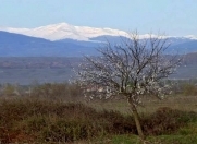 Satılır 12 sot torpaq Şabran