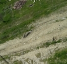 Satılır 6 sot torpaq Sumqayıt