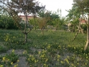 Satılır 25 sot torpaq Novxanı