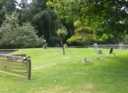 Satılır 8 sot torpaq Biləcəri