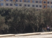 Satılır 4 otaqlı 125 m2 köhnə tikili 6 mkr