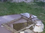 Satılır 14 sot torpaq Novxanı