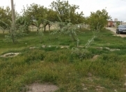 Satılır 400 sot torpaq Gəncə