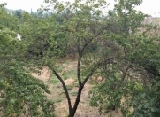 Satılır 12 sot torpaq Mərdəkan