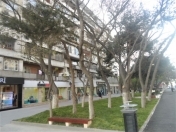 Satılır 2 otaqlı 60 m2 köhnə tikili Ayna Sultanova heykəli