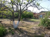 Satılır 6 sot torpaq Saray