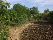 Satılır 6 sot torpaq Sulutəpə