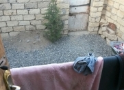 Satılır 2 otaqlı 130 m2 həyət evi Biləcəri