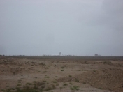 Satılır 420 sot torpaq Binə ticarət mərkəzi