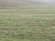 Satılır 12 sot torpaq Fatmayı