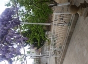 Satılır 0 otaqlı 120 m2 bağ evi Bilgəh