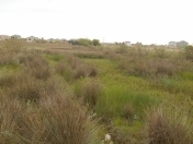 Satılır 12 sot torpaq Pirşağı