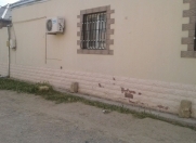 Satılır 4 otaqlı 110 m2 həyət evi Lökbatan