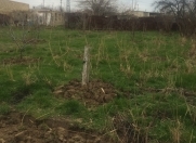 Satılır 8 sot torpaq Sumqayıt