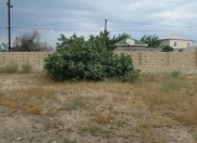 Satılır 10 sot torpaq Sumqayıt