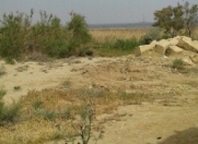 Satılır 6 sot torpaq Sahil