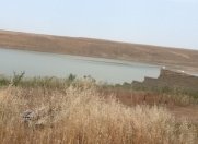 Satılır 10 sot torpaq Fatmayı