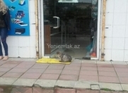 Satılır 3 otaqlı 90 m2 obyekt Bakıxanov