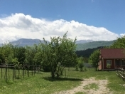 Satılır 300 sot torpaq Quba