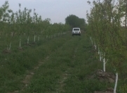 Satılır 1 otaqlı 15000 m2 obyekt Sabirabad