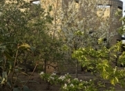 Satılır 6 otaqlı 300 m2 həyət evi Biləcəri