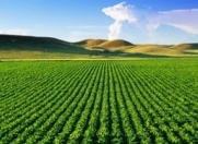 Satılır 23 sot torpaq Bilgəh