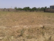 Satılır 6 sot torpaq Məhəmmədli