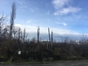 Satılır 23 sot torpaq Göyçay