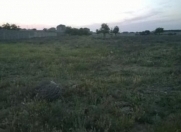 Satılır 100 sot torpaq Quba