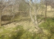 Satılır 3 sot torpaq Saray