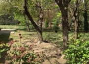 Satılır 6 otaqlı 200 m2 həyət evi Tovuz