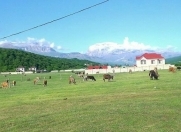 Satılır 20 sot torpaq Qusar