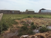 Satılır 20 sot torpaq Binə